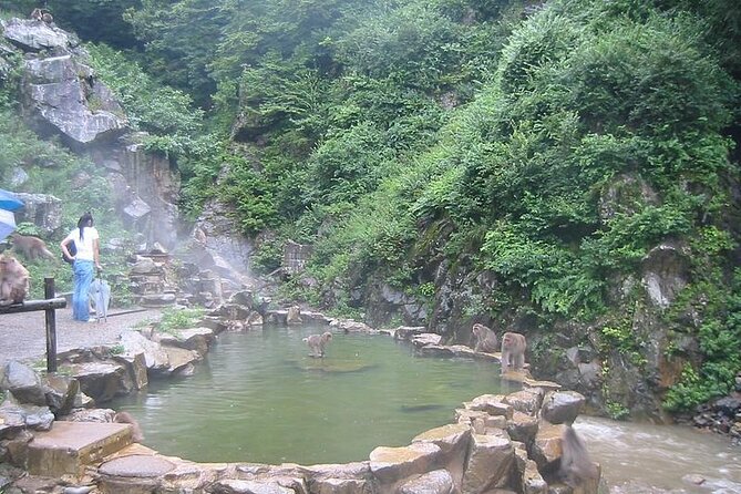 1-Day Private Snow Monkey ZenkoJi Temple & SakeTasting NaganoTour - Sake Tasting Experience