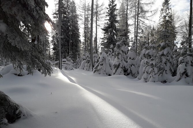 1-Day Private Snowshoe Hike in the Gorce Mountains Near Krakow - What to Expect During the Hike