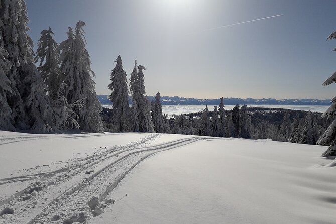 1-Day Private Snowshoe Hike in the Gorce Mountains Near Krakow - Preparing for the Snowshoe Adventure