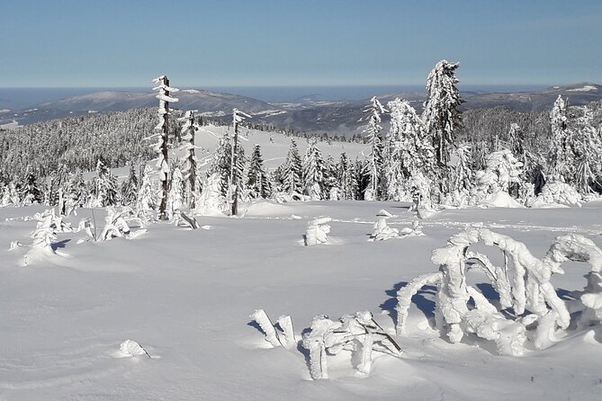 1-Day Private Snowshoe Hike in the Gorce Mountains Near Krakow - Guiding and Transportation Services