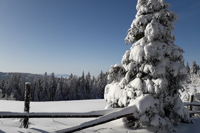1-Day Private Snowshoe Hike in the Gorce Mountains Near Krakow - Rental Equipment and Inclusions