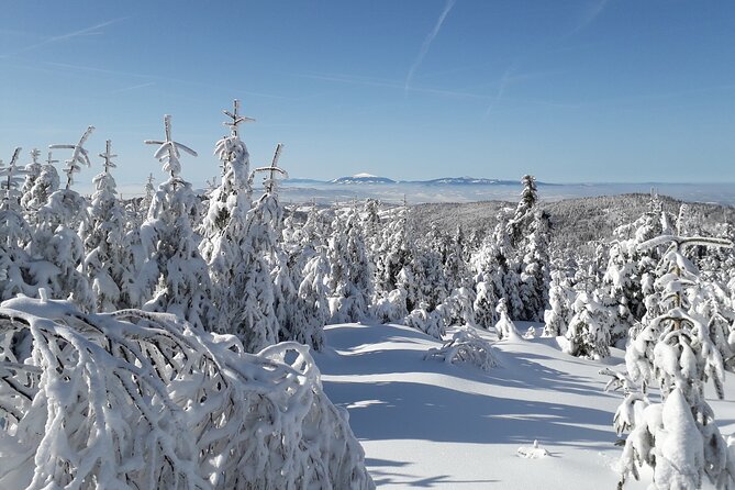 1-Day Private Snowshoe Hike in the Gorce Mountains Near Krakow - Meeting and Pickup Arrangements