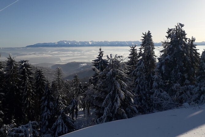 1-Day Private Snowshoe Hike in the Gorce Mountains Near Krakow - Booking and Cancellation Policies