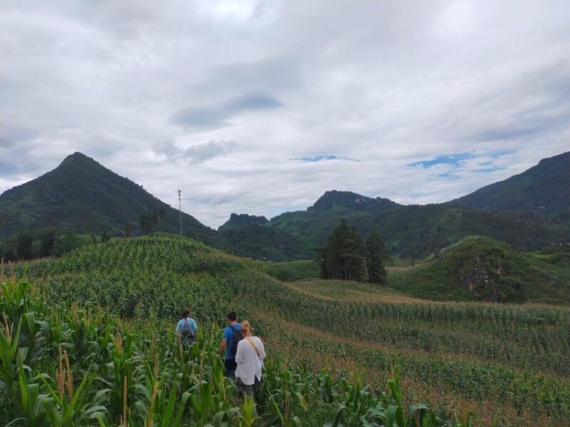 1-Day Private to Amazing Villages Suoi Ho, Ma Tra & Ta Phin - Inclusions and Exclusions