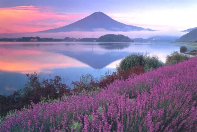 1 Day Private Tour Discover Mount Fuji and Lake Kawaguchi - Experience Kawaguchiko and Oishi Park