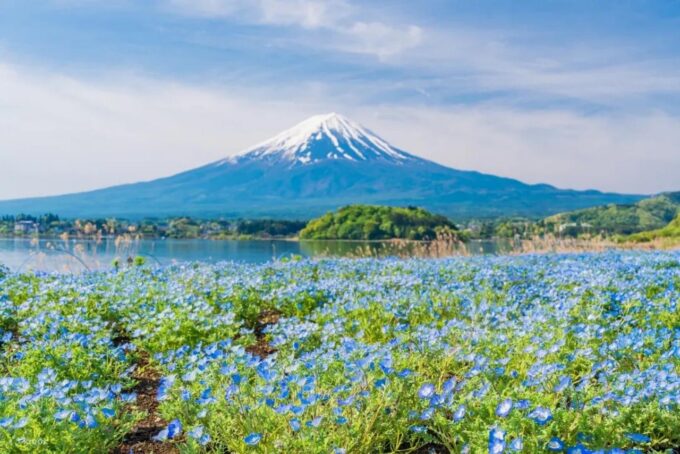 1 Day Private Tour Discover Mount Fuji and Lake Kawaguchi - FAQ