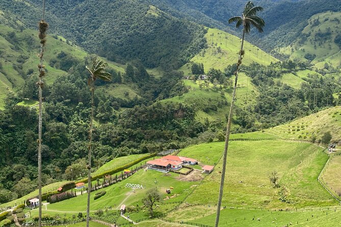 1 Day Private Tour in Cocora Valley Hike - Included Services