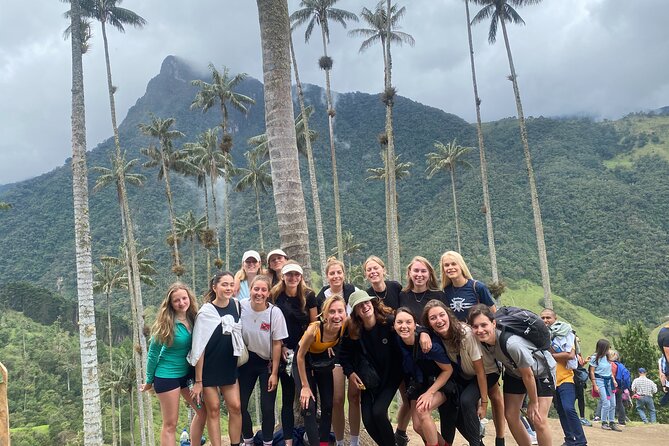 1 Day Private Tour in Cocora Valley Hike - Tips for the Tour