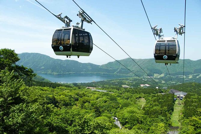 1 Day Private Tour in Mt.Fuji and Hakone English Speaking Driver - Pricing and Booking
