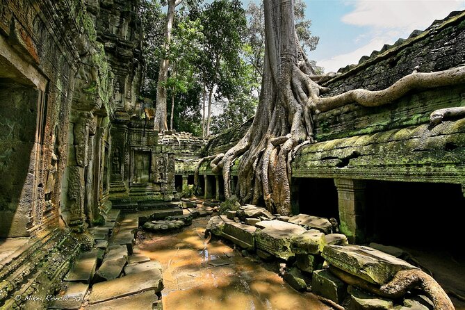 1 Day Private Tour to All Angkor Main Temples and Bakheng Sunset - Customer Reviews