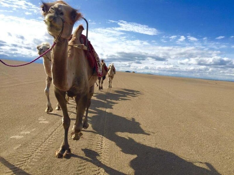 1-Day Private Tour to Dunhuang Highlights - Key Points