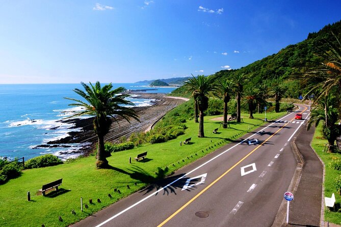 1 Day Private Tour to Miyazaki Nichinan - Pickup Details