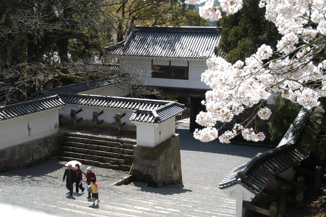 1 Day Private Tour to Miyazaki Nichinan - Local Lunch