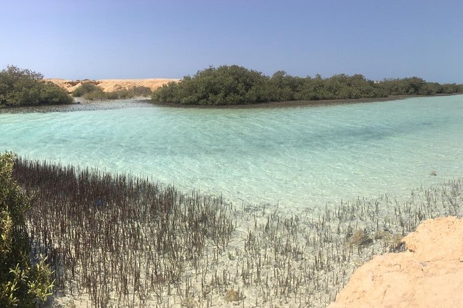 1 Day Private Trip to Ras Mohamed By Car From Sharm-el-Sheikh - Inclusions and Pickup Details