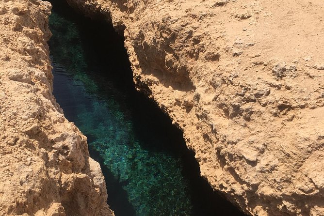 1 Day Private Trip to Ras Mohamed By Car From Sharm-el-Sheikh - Diverse Marine Life Sightings