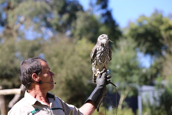 1 Day Puffing Billy Steam Train and Wildlife Tour From Melbourne - Meeting Points
