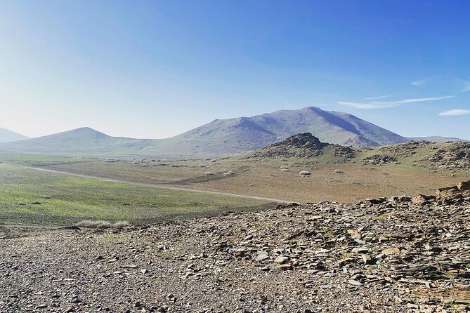 1 Day Quad Tour in Marrakech Palmeraie Desert Jbilet - Exploring Marrakech Palmeraie