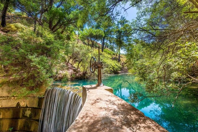 1 Day Rhodes Island Tour With Olive Oil, Honey and Wine Tasting - Tasting Experiences
