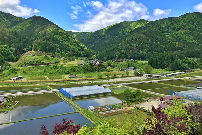 1-Day Rural E-Bike Tour in Hida - Pedaling Around Maze Village
