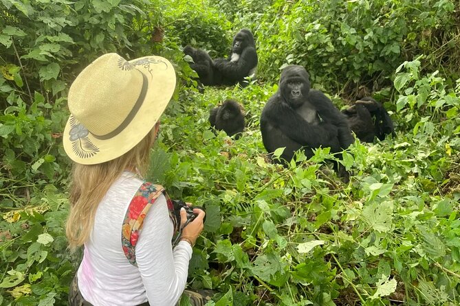 1 Day Rwanda Gorilla Trekking Tour In The Volcanoes National Park - Gorilla Trekking Experience