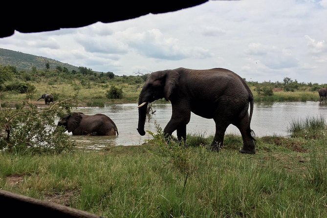1 Day Safari From Johannesburg - Inclusions