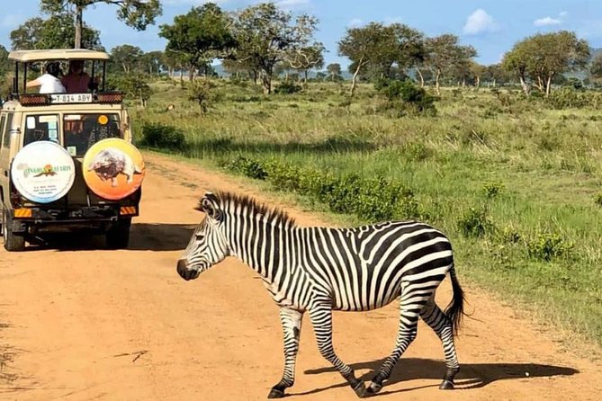 1 Day Safari to Mikumi National Park - Exclusions From the Package