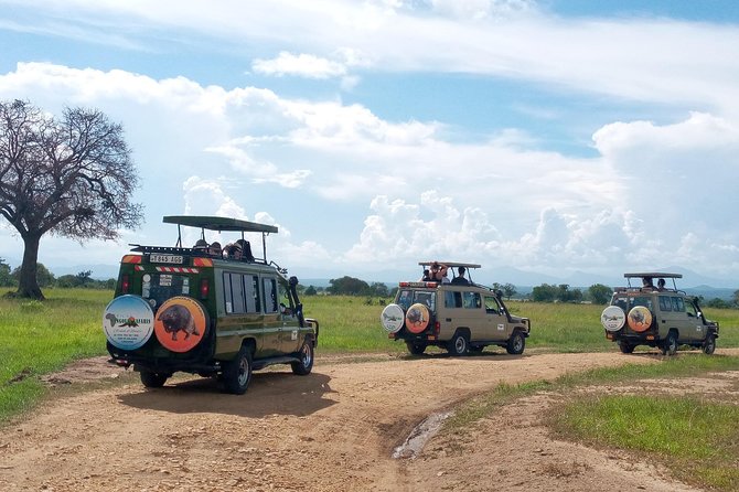 1 Day Safari to Mikumi National Park - Booking the Safari