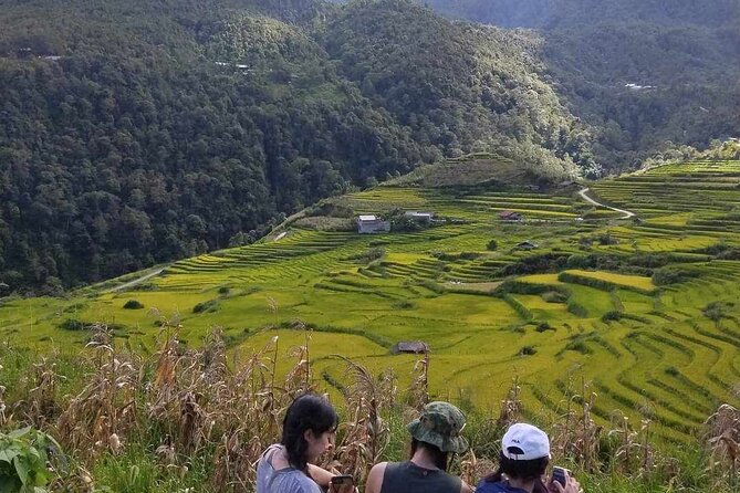 1 Day Sapa Authentic Trekking ( off Beaten Track ) - Accessibility and Participation