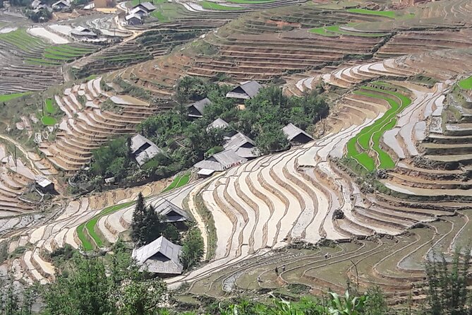 1 Day Sapa Authentic Trekking ( off Beaten Track ) - Pricing