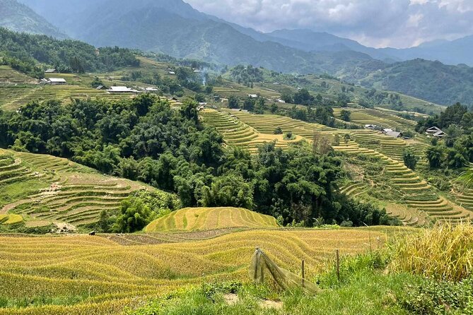 1 Day Sapa Authentic Trekking ( off Beaten Track ) - Reviews