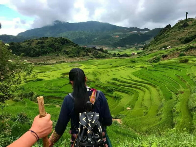 1-Day Sapa Long Trek - Rice Field Terrace, Ethnic Culture - A Day in Sapa: What You Can Expect
