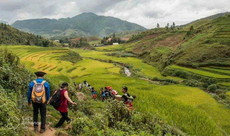 1-Day Sapa Long Trek - Rice Field Terrace, Ethnic Culture - Authentic, Active, and Affordable: Who Should Consider This Tour?