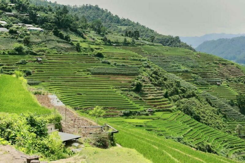 1-Day Sapa Long Trek - Rice Field Terrace, Ethnic Culture - Final Thoughts