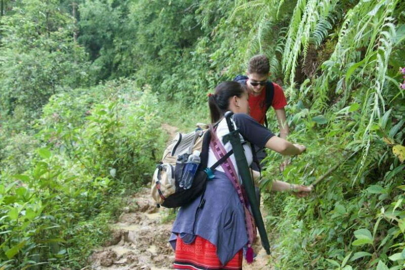 1 Day Sapa Trek&Home-cooked Lunch HmongSisterHouse&Trekking - Authentic Experiences and Real Feedback