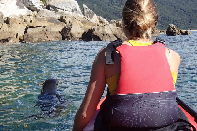 1 Day Sea Kayak Rental - Reviews and Ratings