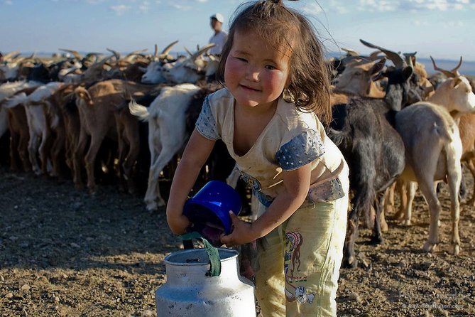 1 Day Semi-Gobi All-Included Tour - Cultural Experience