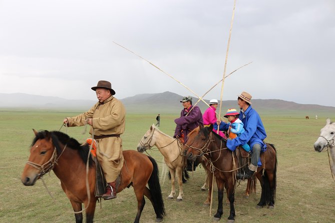 1 Day Semi-Gobi All-Included Tour - Reviews and Feedback