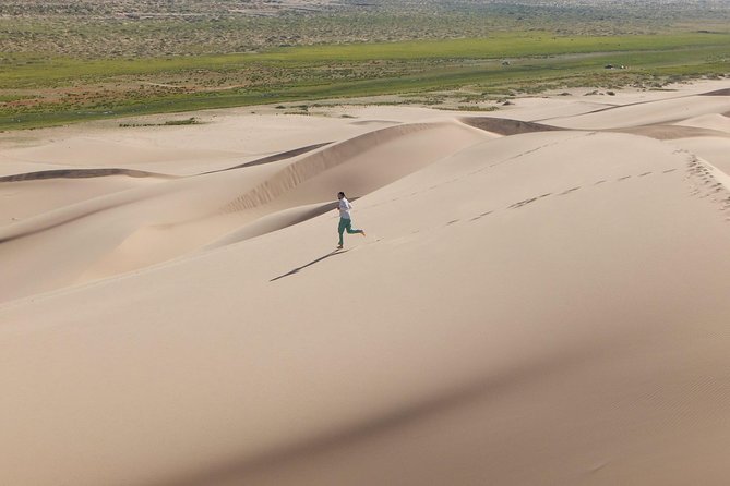 1 Day Semi-Gobi Tour Including Lunch And Free Camel +Bonus Khustai National Park - Pickup and Start Time