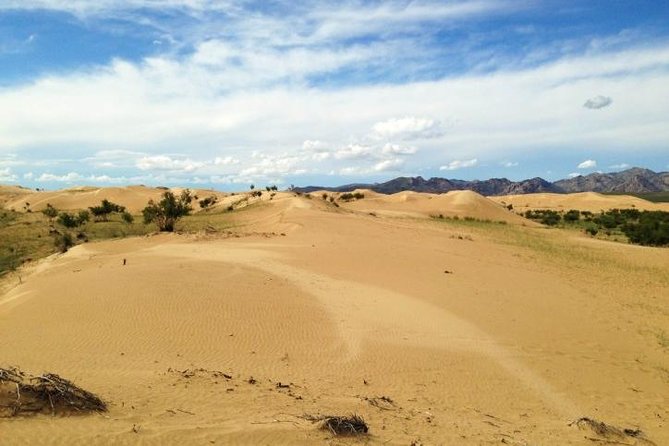 1 Day Semi-Gobi Tour Including Lunch And Free Camel +Bonus Khustai National Park - Inclusions and Amenities