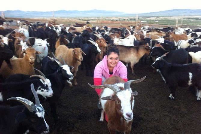 1 Day Semi-Gobi Tour Including Lunch And Free Camel or Horseback Ride - Inclusions and Exclusions