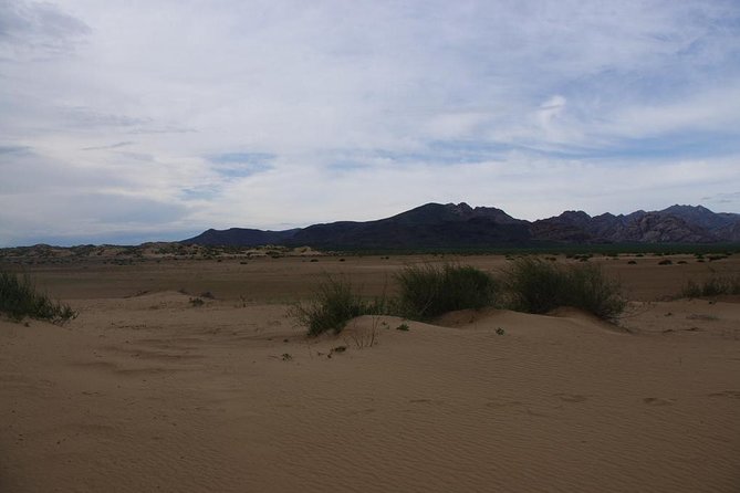 1 Day Semi-Gobi Tour Including Lunch And Free Camel or Horseback Ride - Tour Duration and Price