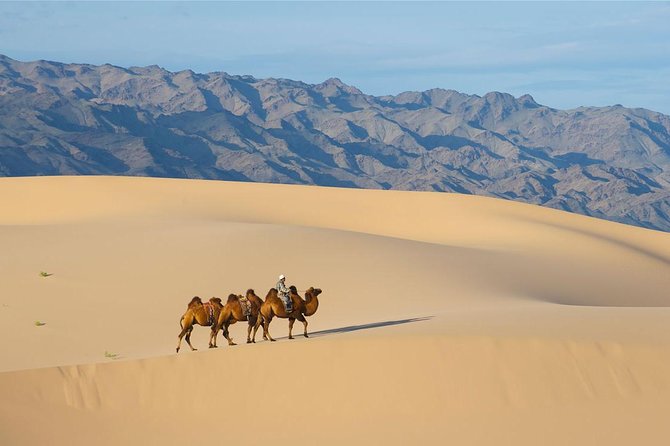 1 Day Semi-Gobi Tour With Lunch and Enjoying Camel or Horseback - Accessibility and Pickup Information