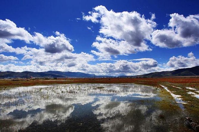 1-Day Shangri-La Tour With Ganden Monastery, Napahai Lake and Tibetan Town - Accessibility and Participation