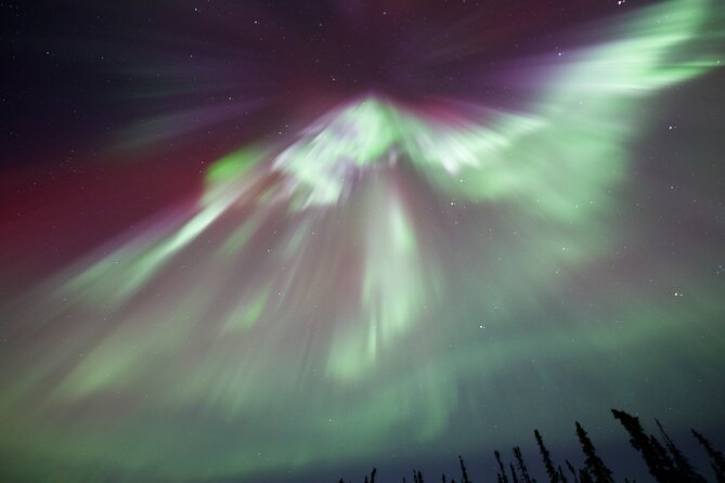1 Day Shared Tour Arctic Circle and Aurora Viewing in Alaska - Highlights of the Experience