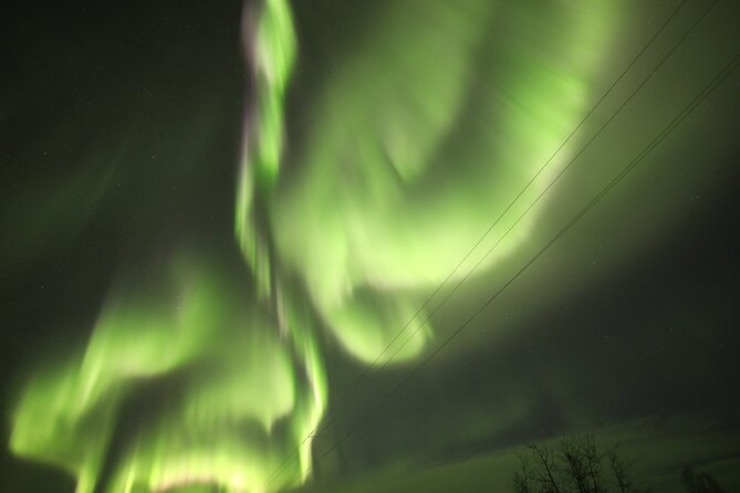 1 Day Shared Tour Arctic Circle and Aurora Viewing in Alaska - Traveler Feedback