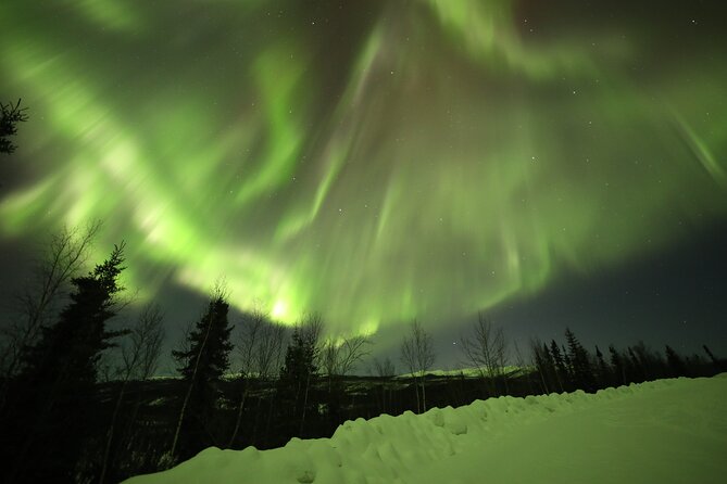 1 Day Shared Tour Arctic Circle and Aurora Viewing in Alaska - Exploring the Arctic Circle