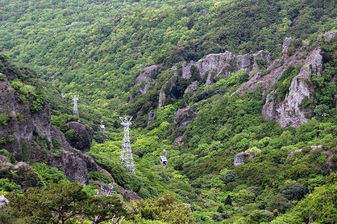 1-Day Shodoshima Island Bus Tour - Tour Guide Services