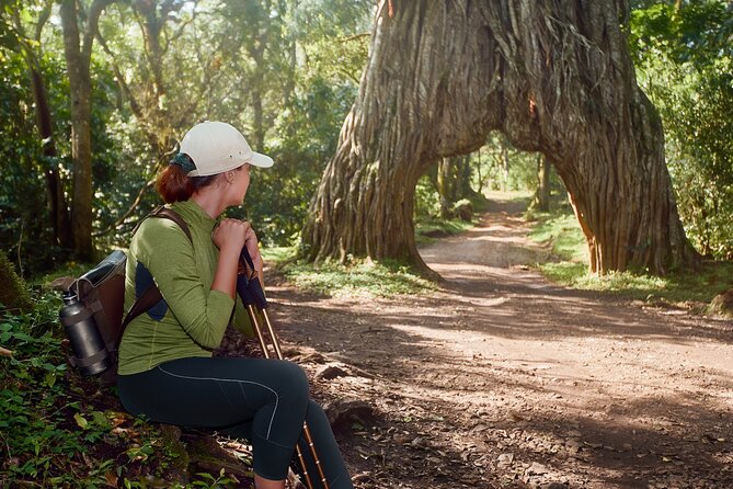 1 Day Short 4x4 Safari: ARUSHA NATIONAL PARK Incl. Lodge-Lunch - Refreshing Break at the Lodge