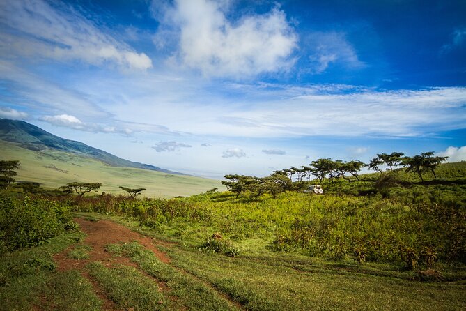 1 Day Short 4x4 Safari: ARUSHA NATIONAL PARK Incl. Lodge-Lunch - Pickup and Confirmation Details