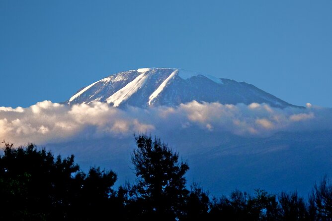 1 Day Short 4x4 Safari: ARUSHA NATIONAL PARK Incl. Lodge-Lunch - Glowing Reviews From Participants